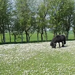 Ibs * Kronprinzenkoog