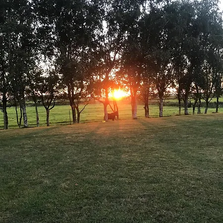 Ibs * Kronprinzenkoog