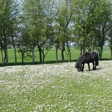 Ibs * Kronprinzenkoog